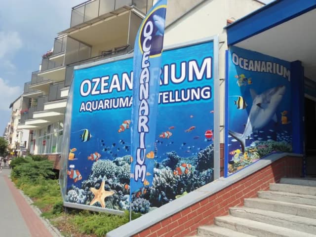 Ile kosztuje bilet do oceanarium w Kołobrzegu? Ceny i zniżki Ile kosztuje bilet do oceanarium w Kołobrzegu? Ceny i zniżki