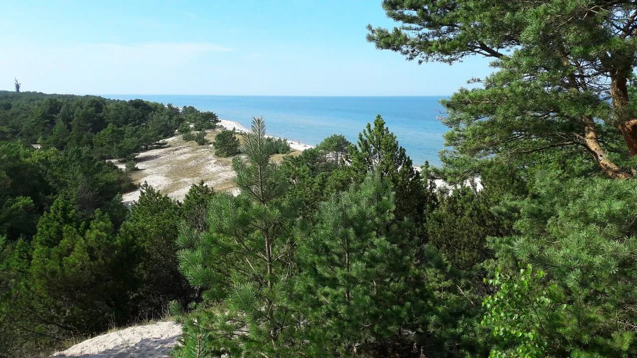 Hel co zwiedzać: odkryj najlepsze atrakcje i ukryte skarby miasta Hel co zwiedzać: odkryj najlepsze atrakcje i ukryte skarby miasta