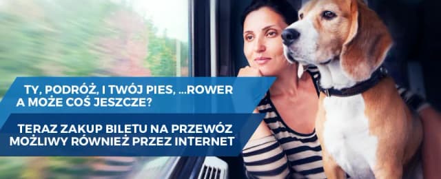 Jak kupić bilet PKP dla psa przez internet bez zbędnych komplikacji Jak kupić bilet PKP dla psa przez internet bez zbędnych komplikacji