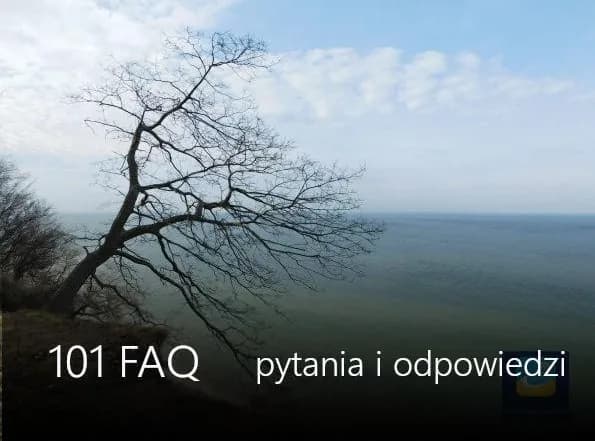 Czy w Jastrzębiej Górze jest Biedronka? Sprawdź najbliższą lokalizację Czy w Jastrzębiej Górze jest Biedronka? Sprawdź najbliższą lokalizację